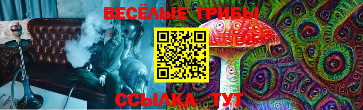 Галлюциногенные грибы Psilocybe Медногорск