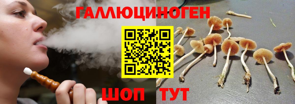 Галлюциногенные грибы Magic Shrooms  Вход с VPN  Галлюциногенные грибы мицелий  Медногорск 